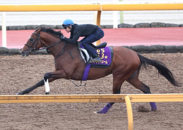 【読売マイラーズC】G1馬アドマイヤズームが武豊騎手と反撃へ　陣営「この馬はこんなものじゃない」