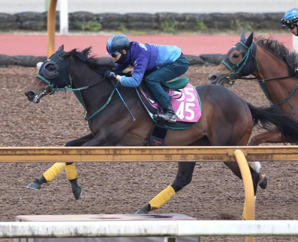 【フローラS】リアライズルミナスが絶好調・松山弘平騎手と権利取りへ　陣営「東京も合うと思います」