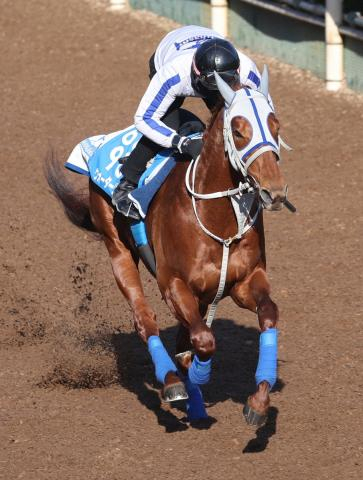 【マイラーズC】5歳ウォーターリヒト突き抜ける!　重賞でも結果残した末脚魅力