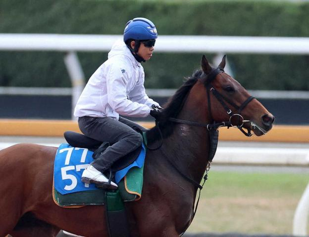 【マイラーズC】ベラジオボンド　重賞初Vへ万全　黒野助手「心身ともに今が充実期」