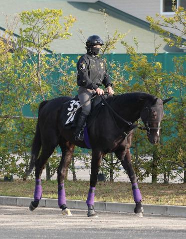 【青葉賞】ブラックオリンピア　幼さ抜けてきた　舞台替わり歓迎「長くいい脚が使えるので」