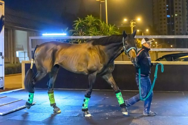 【香港QE2世C】ジョバンニ“追い風”乗る　キャリア30年大久保助手が胸躍る初海外遠征「不安もなく」