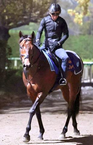 【香港・チェアマンズSP】世界史上最強スプリンターに挑む日本短距離王サトノレーヴに不安なし