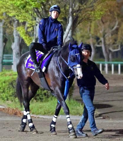 【香港・QE2世C】日本中距離界のエース・マスカレードボールが香港の英雄に挑戦　15日国内最終追い切りで自己ベスト