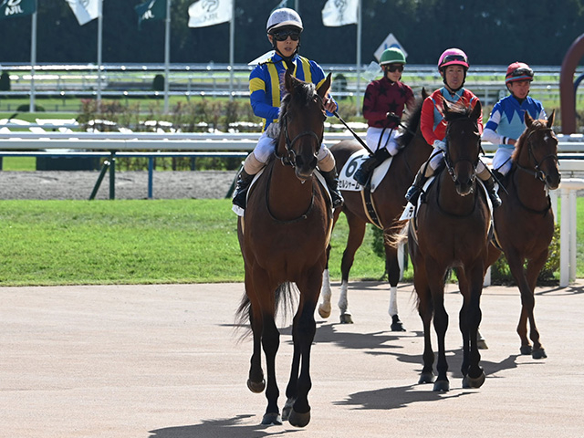 【青葉賞展望】好走データに完全合致するシャドウマスターに期待