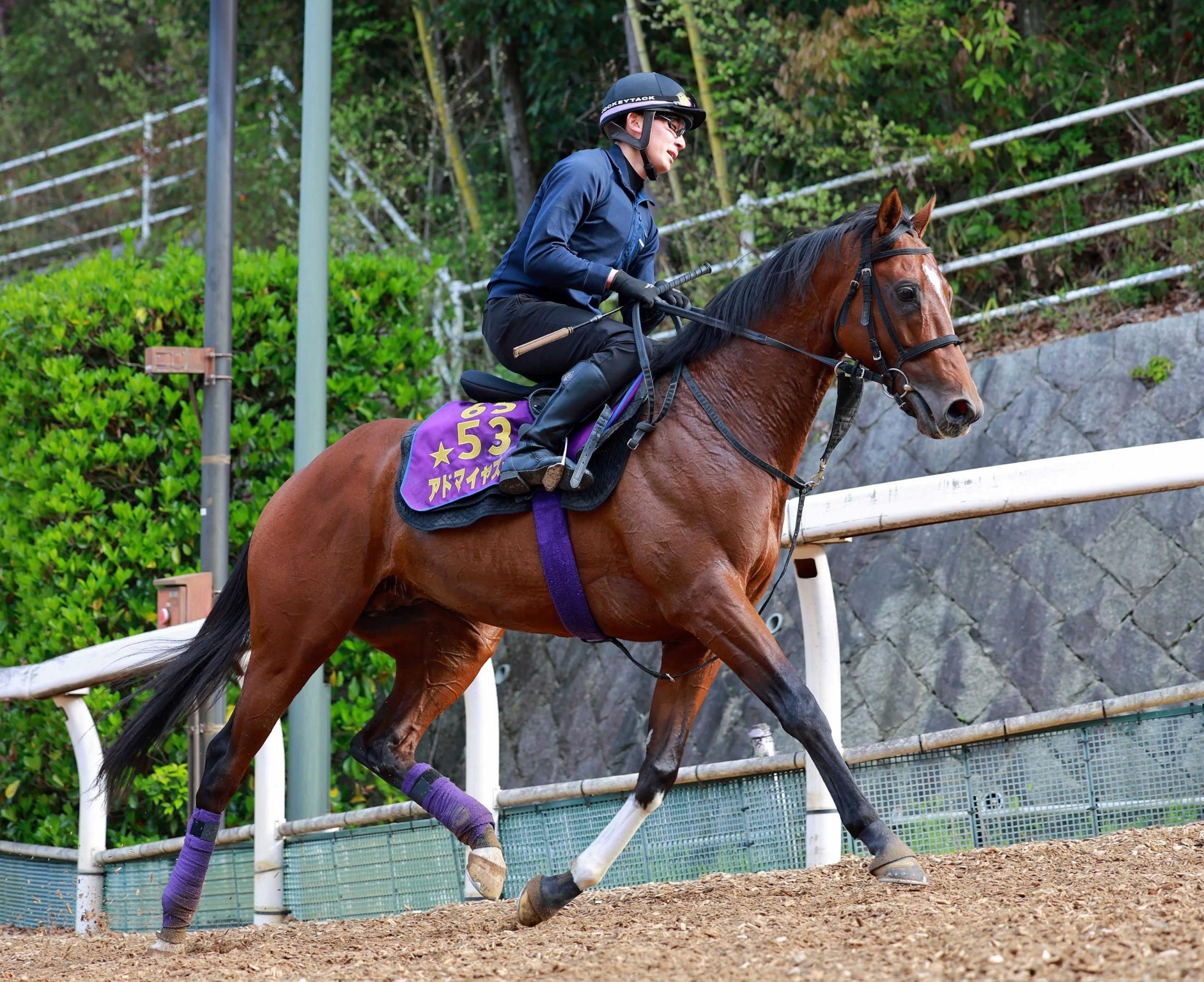 【マイラーズＣ】アドマイヤズーム　２歳マイル王に輝いた舞台で復活へ　爪の回復待ち充電　友道師「本当にいい感じ」