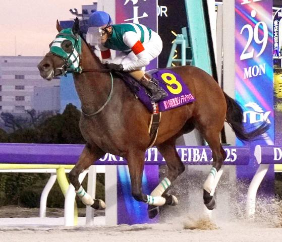 あす浦和競馬11R「報知杯しらさぎ賞」力が違うホーリーグレイル