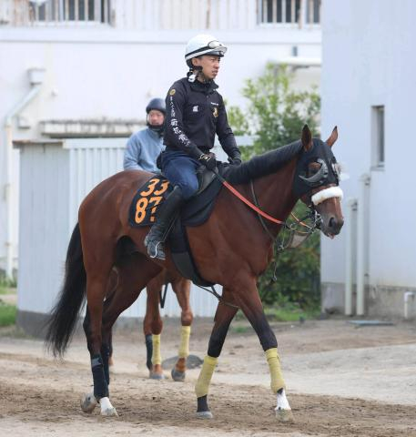 【青葉賞】武井調教師「ルメール騎手が東京で距離はもっとあった方がいいと言っていた」　タイダルロックに激走気配