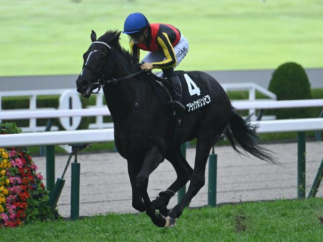 【青葉賞予想オッズ】ブラックオリンピアが予想1番人気