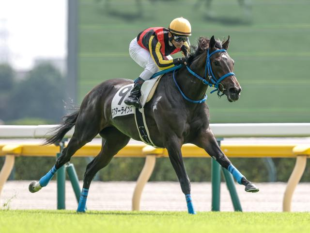 【フローラS予想オッズ】ラフターラインズが予想1番人気