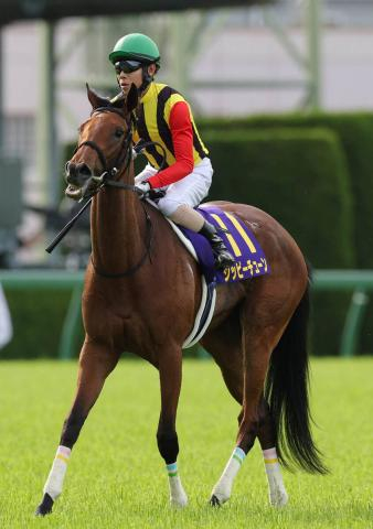 【注目馬動向】桜花賞3着のジッピーチューンは右前肢の剥離骨折が判明　社台グループオーナーズが発表