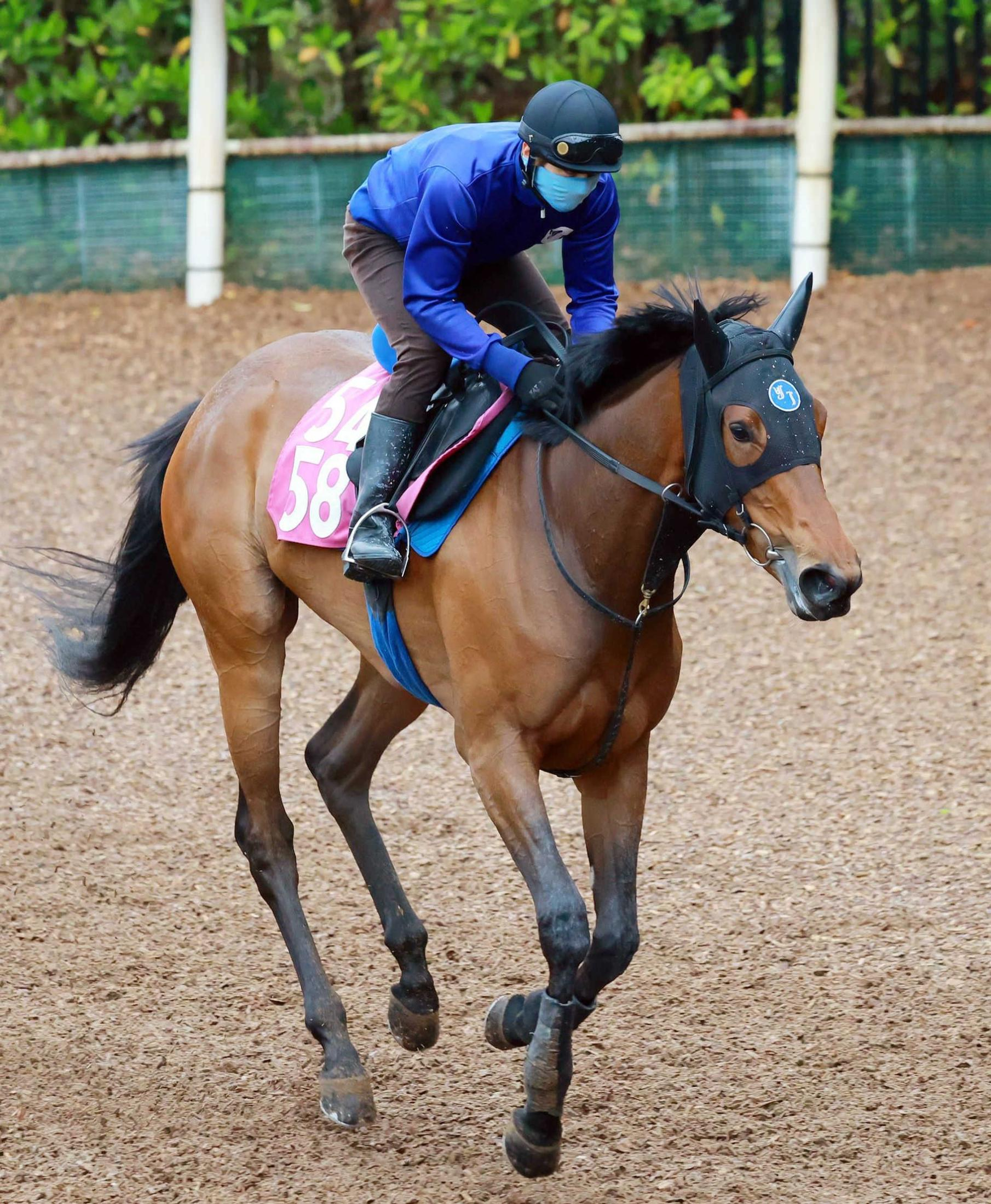 【フローラＳ】ペンダント　未知の魅力で樫切符狙う　芝再挑戦、池江師「ここにきて体がしっかりしてきた」