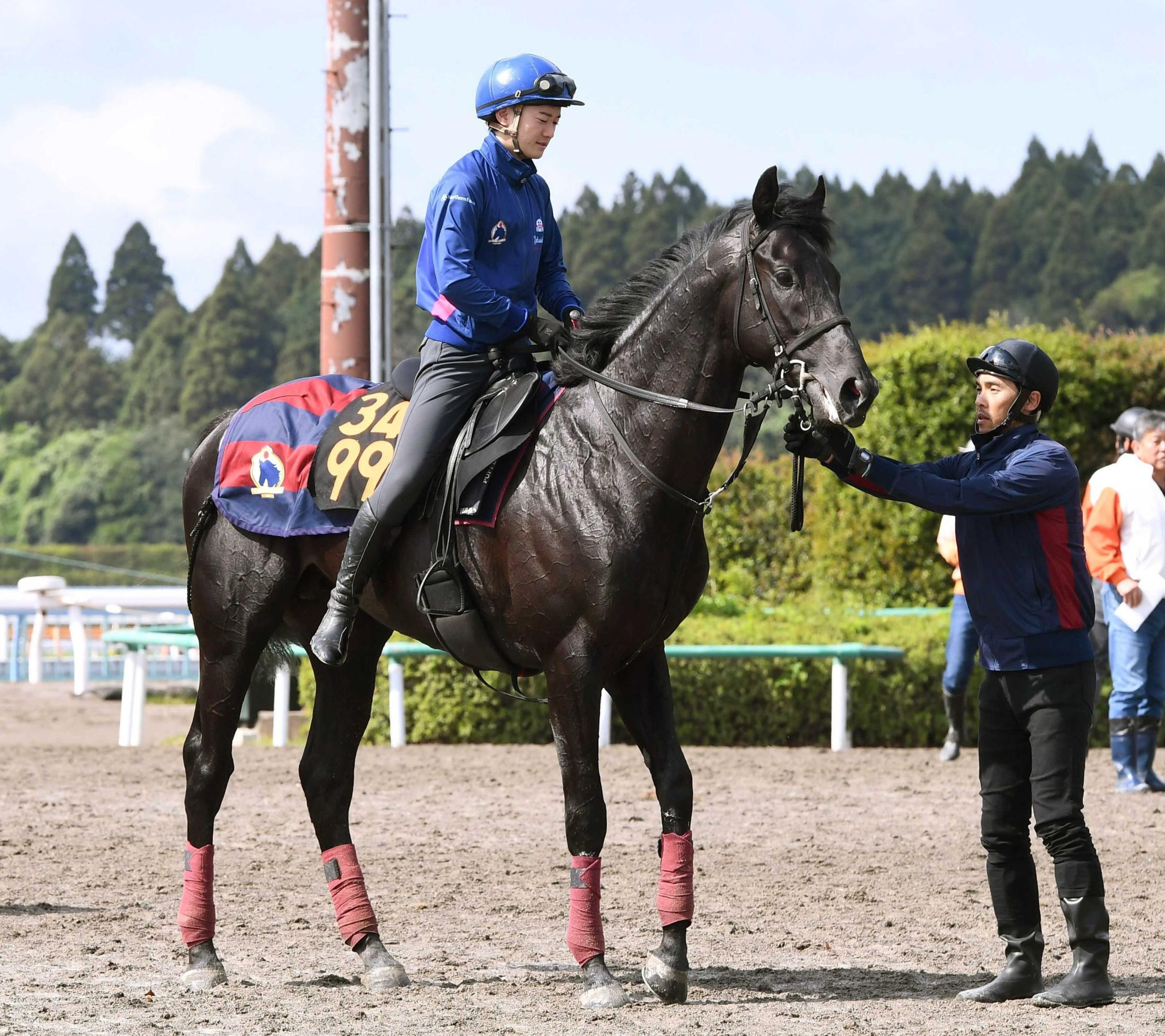 【青葉賞】ノーブルサヴェージ　混戦ムード断つ！無傷でダービー出走へ　唯一デビュー２連勝、ポテンシャルの高さメンバートップ