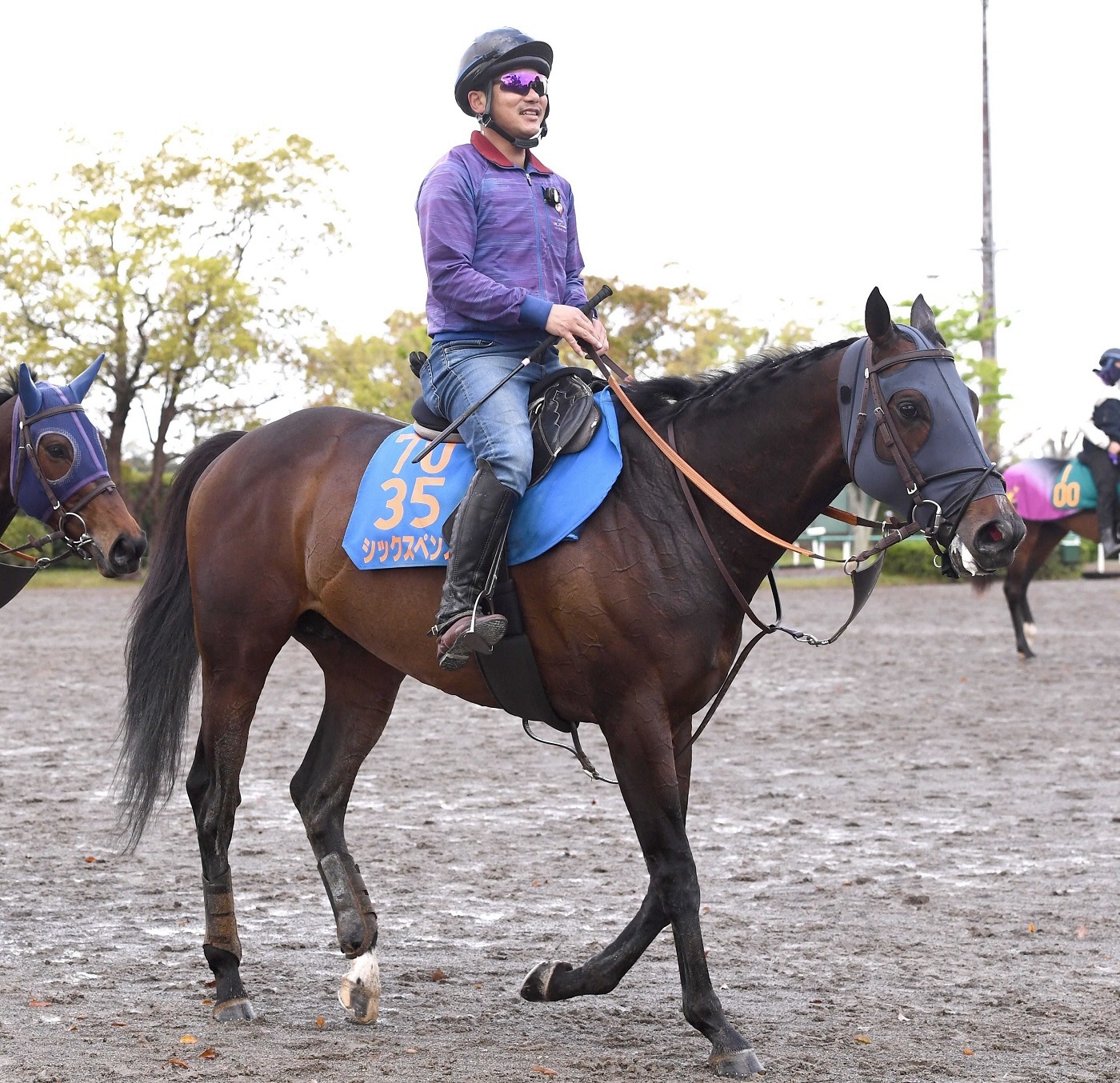 【マイラーズＣ】シックスペンス　転厩初戦で挑む重賞４勝目　田中博師「スピード負けはしないのかな」芝で反撃狙う