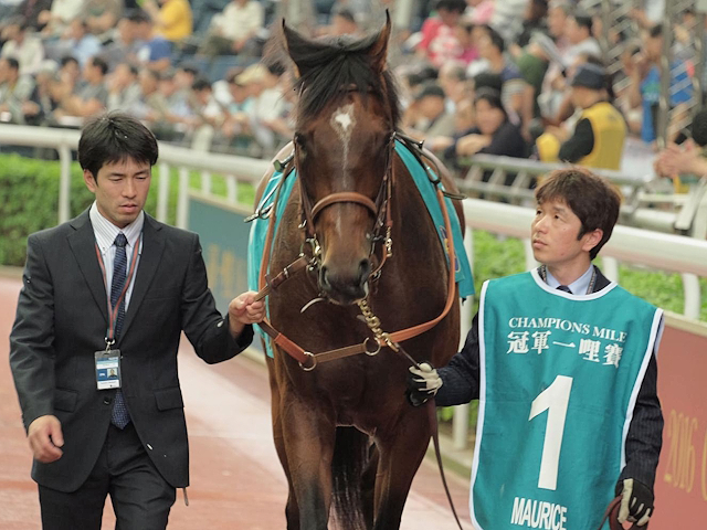 モーリス快走から10年 日本馬唯一のチャンピオンズM制覇