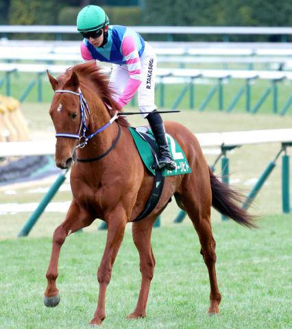 【読売マイラーズC】ウォーターリヒトが直前びっしり追われ急上昇　石橋調教師「うちに来て初めてだね」