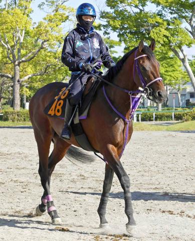 【注目馬動向】天皇賞・春に登録のあるプレシャスデイは吉村誠之助騎手とのコンビでG1初挑戦へ
