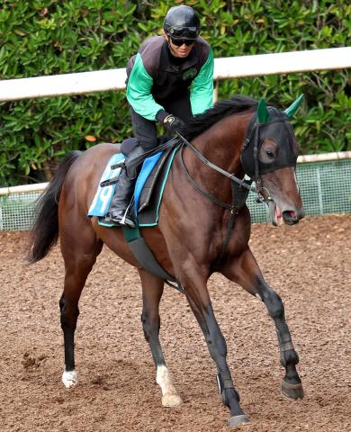 【注目馬動向】2年9か月ぶりVのサヴォーナは七夕賞へ　阪神大賞典9着のファミリータイムは宝塚記念へ