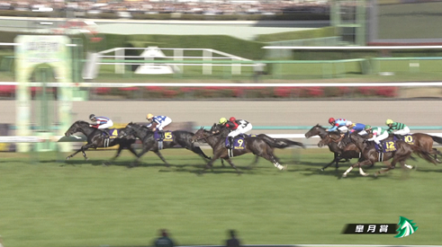 毎年1頭は必ずいる皐月凡走するも一夏超えて菊花賞で好走しそうみたいな馬いた？　他