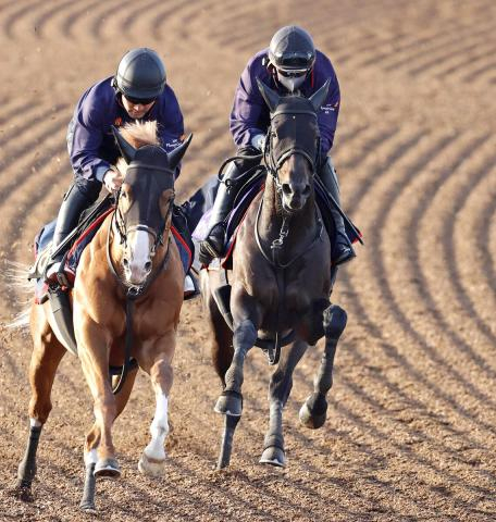 【天皇賞・春・1週前】ヘデントールは連覇へ調整狙い通り　陣営「トップスピードのまま長く走らせることができた」