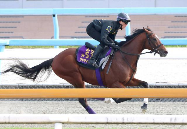 【読売マイラーズC】G1馬アドマイヤズームは迫力十分　朝日杯FS制した京都マイル戦で復活を狙う