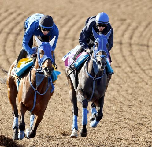 【フローラS】レーン騎手がラフターラインズと初コンタクト「末脚の良さが特徴だと思う」4戦全てで上がり最速