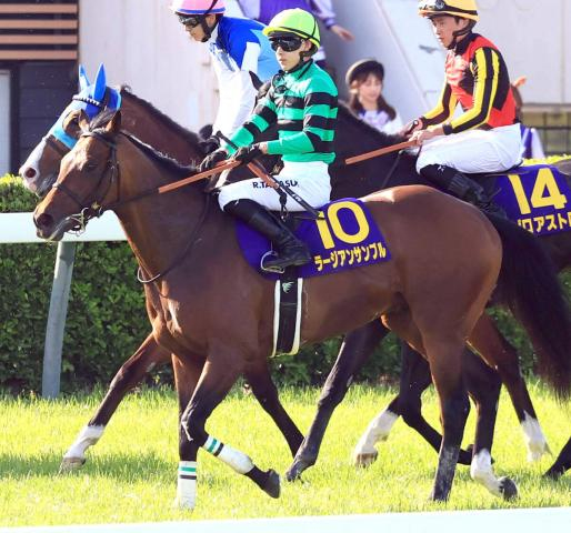 皐月賞8着のラージアンサンブルが右前第一指骨の剥離骨折　除去手術を行う予定
