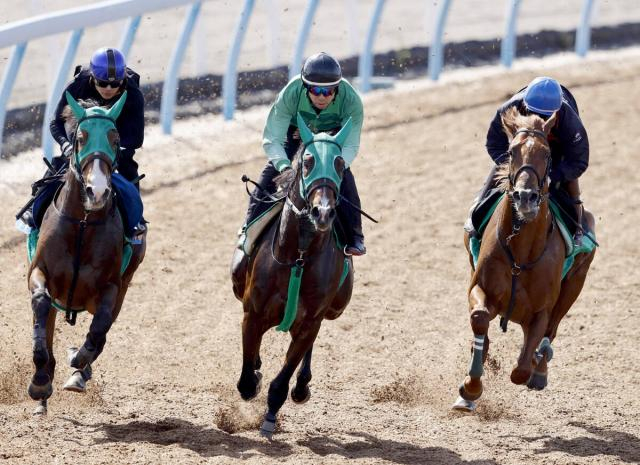 【青葉賞】ダービー切符へラストスマイルは3頭併せで最先着　杉原誠人騎手「やっぱり走る」