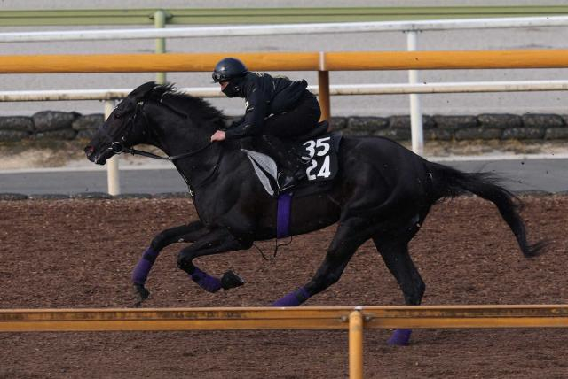 【青葉賞】ブラックオリンピア　3連勝へCWで抜群の加速!!ラスト1F11秒3　友道師「いい雰囲気」