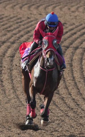 【フローラS】ゴバド　距離延長もOK　テン乗りの原「ギアを入れたら凄くいいトビの走りをする」