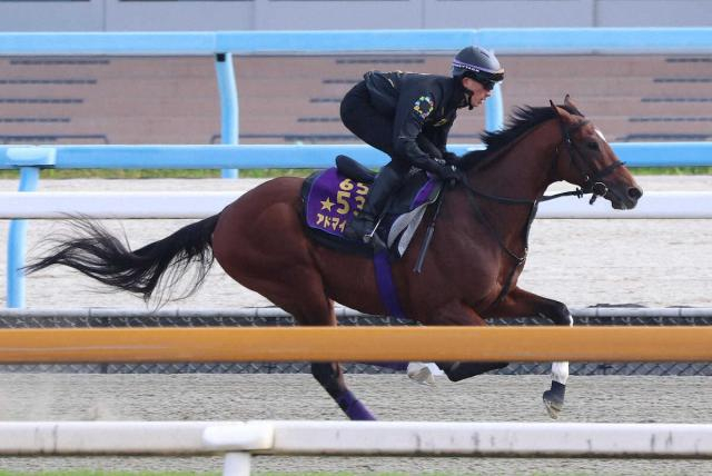 【マイラーズC】アドマイヤズーム　復権誓う　友道師も自信「2歳の時の走りはできる」