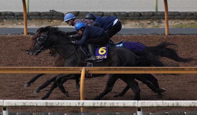 【天皇賞・春1週前追い】クロワデュノール圧巻!!ラスト1F11秒1　斉藤崇師「順調」