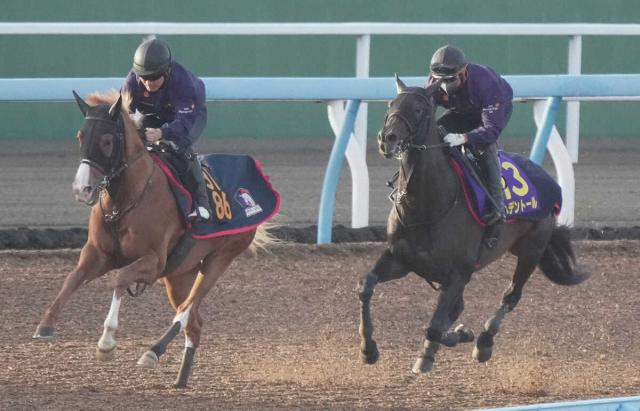 【天皇賞・春1週前追い】ヘデントール　昨年の覇者は状態面での不安なし