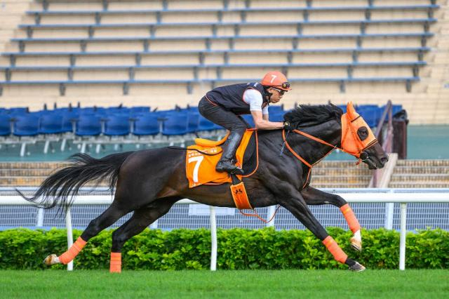 【香港チャンピオンズマイル】ジャンタルマンタル　末脚健在2F21秒5　陣営「終わった後もケロッと」