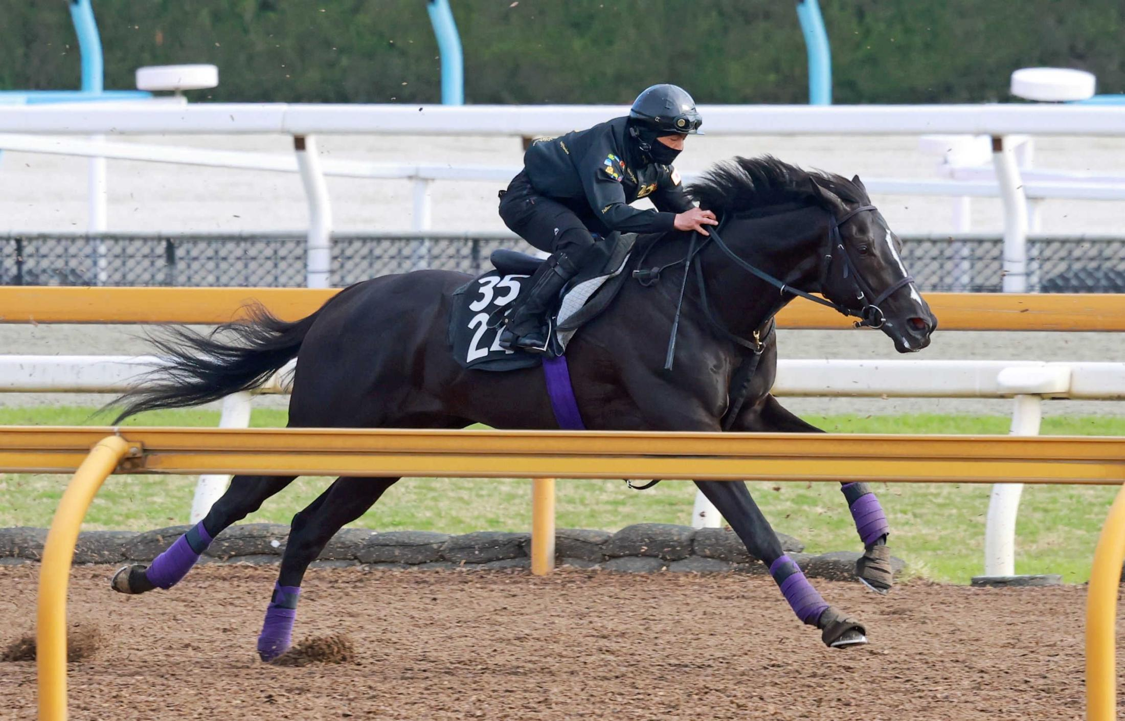 【青葉賞】ブラックオリンピア　軽快リハ　友道師「疲れもなくていい感じ、いい雰囲気」　２度目の府中＆距離経験生かす