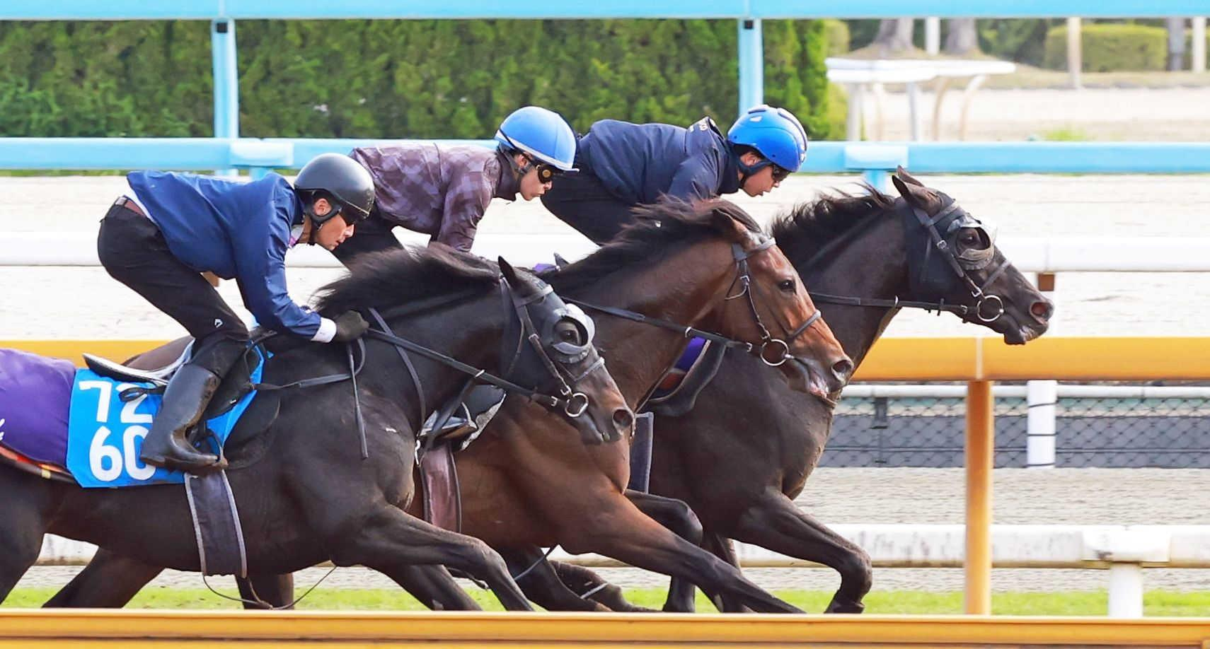 【天皇賞】クロワデュノール　堂々最先着　斉藤崇師「これで上がってくる」　父子制覇の懸かる大一番へ上々