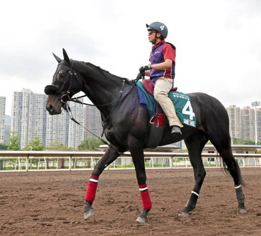 【香港・QE2世C】ジューンテイクは7番ゲートに決定　調教後下馬の影響はなし