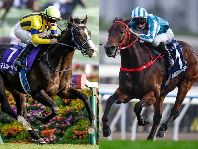 【香港・QE2世C枠順】マスカレードボールは6番ゲート、ロマンチックウォリアーは5番ゲート