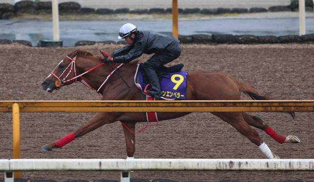 【天皇賞・春1週前追い】シンエンペラー　岩田望が騎乗し11秒1の切れ味「いい馬です」