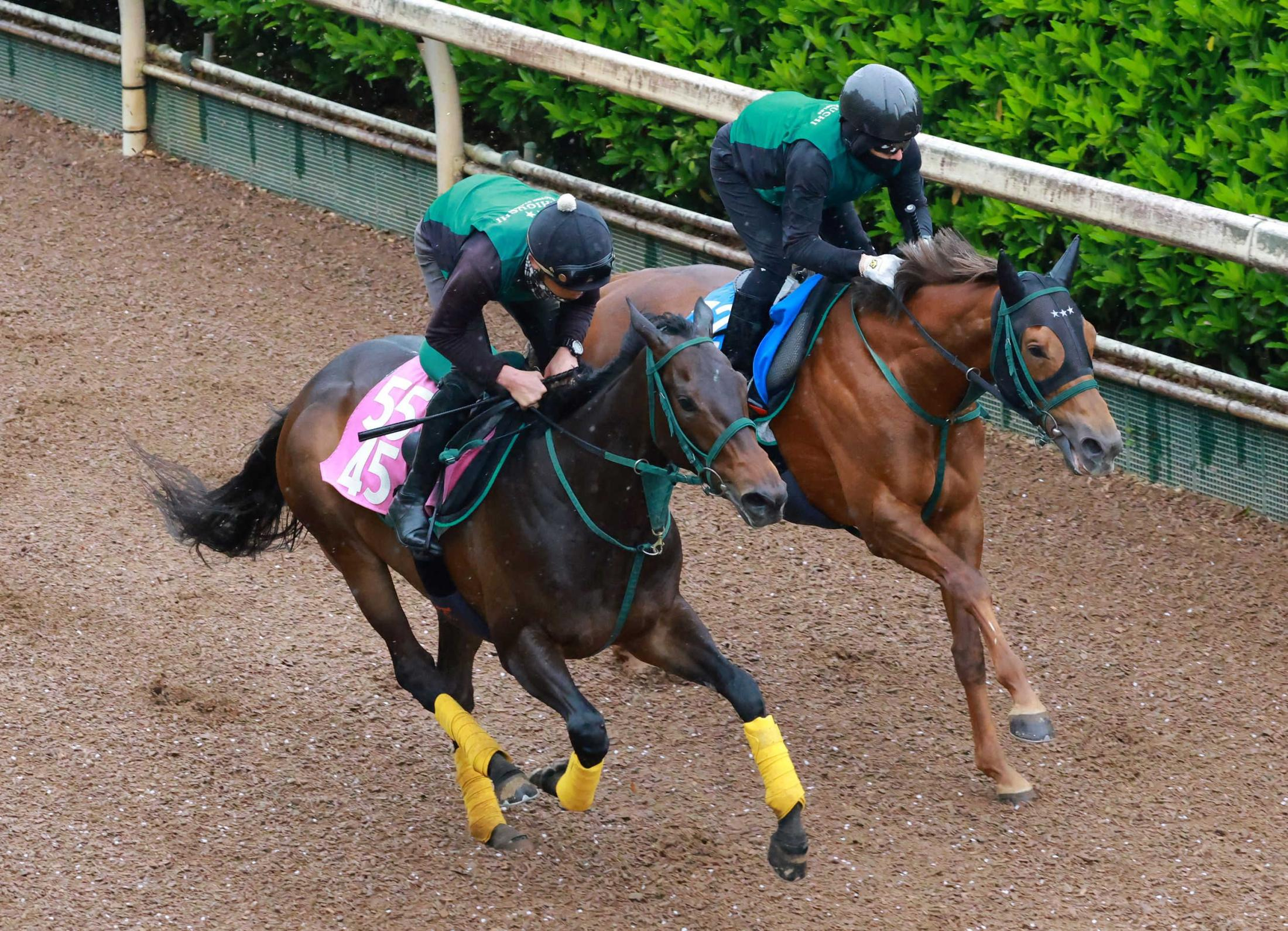 【フローラＳ】リアライズルミナス　動き抜群！好調アピール　試金石の一戦へ橋口師「(距離を)延ばして良さが出そう。東京も合う」