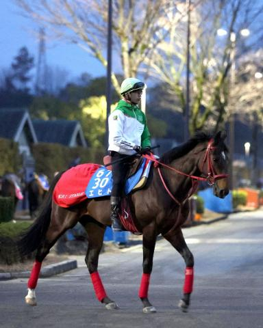 【天皇賞・春1週前追い】エヒト好調持続　坂路単走しまい重点1F12秒1「問題なく調教できた」