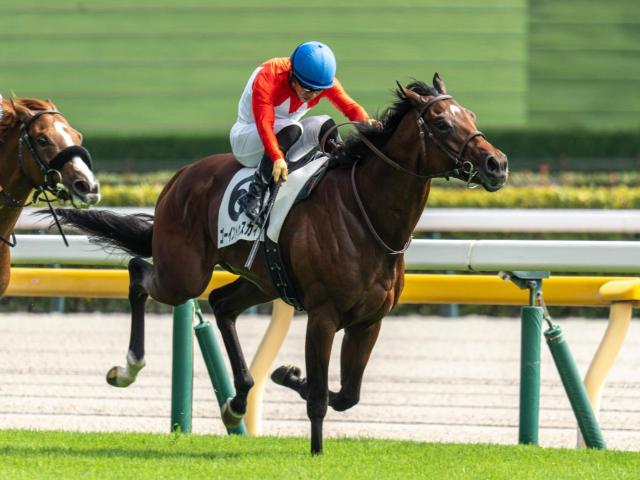 【青葉賞予想】ダービーへの直行切符かけた一戦 中4週への変更が変化もたらすか