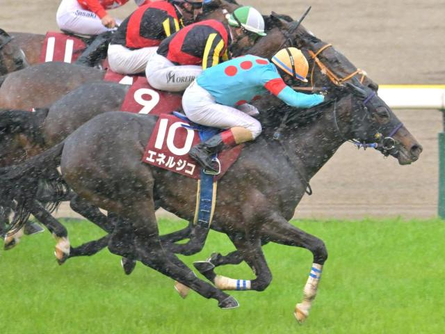 青葉賞は1番人気が堅実 外国人騎手は要チェック