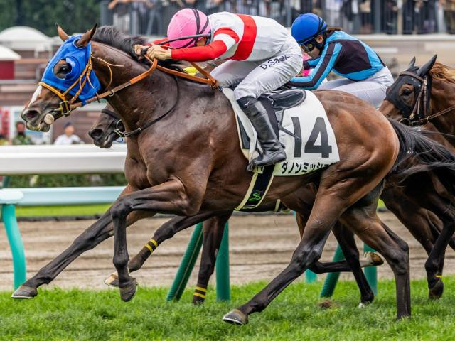 【石和特別】祖母は名牝ダンスインザムード 2.6億円馬のダノンミッションが待望の3勝目なるか