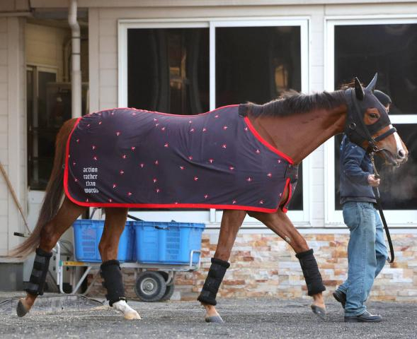 【注目馬動向】ミュージアムマイルの妹フェスティバルヒルは疲労が抜け切らずに春休養　骨折明けの桜花賞は17着