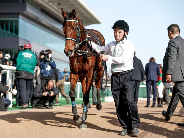 【今日の注目ポイント】マイラーズCとフローラSの2重賞と香港チャンピオンズデー