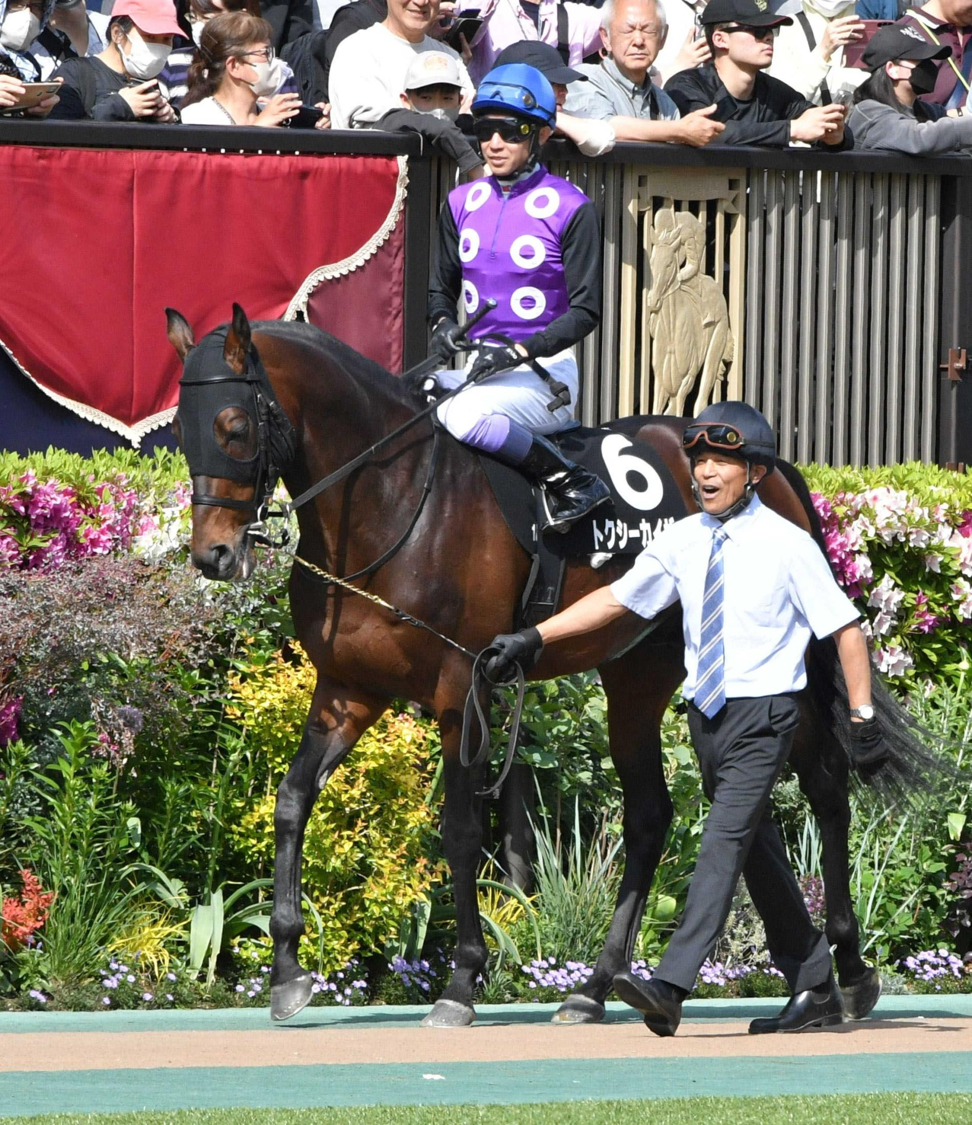 国枝元調教師が厩務員初陣　トクシーカイザーで５着  武豊もニヤリ「将来有望だと思います」