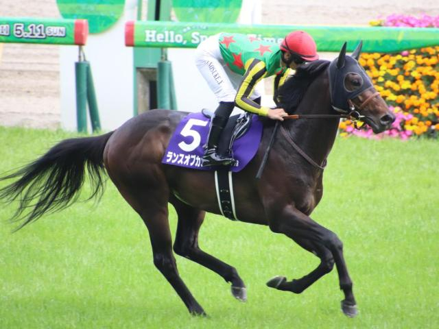 【マイラーズC予想】過去10年で1番人気が4勝、2着3回 上位人気馬に圧倒的な信頼感
