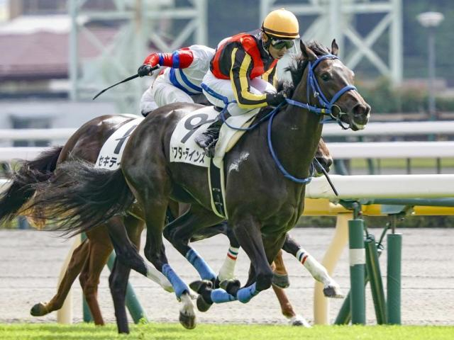 【フローラS予想】樫の舞台に続くステップレース スタミナと底力問われる一戦
