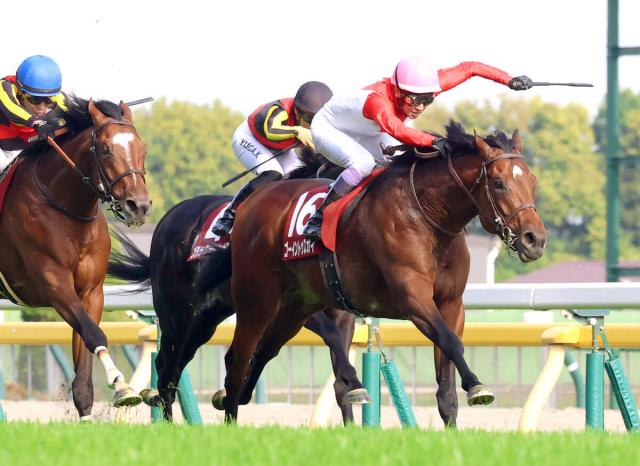 【青葉賞】武豊日本ダービー7勝目へ「楽しめる」ゴーイントゥスカイ重賞初V導く